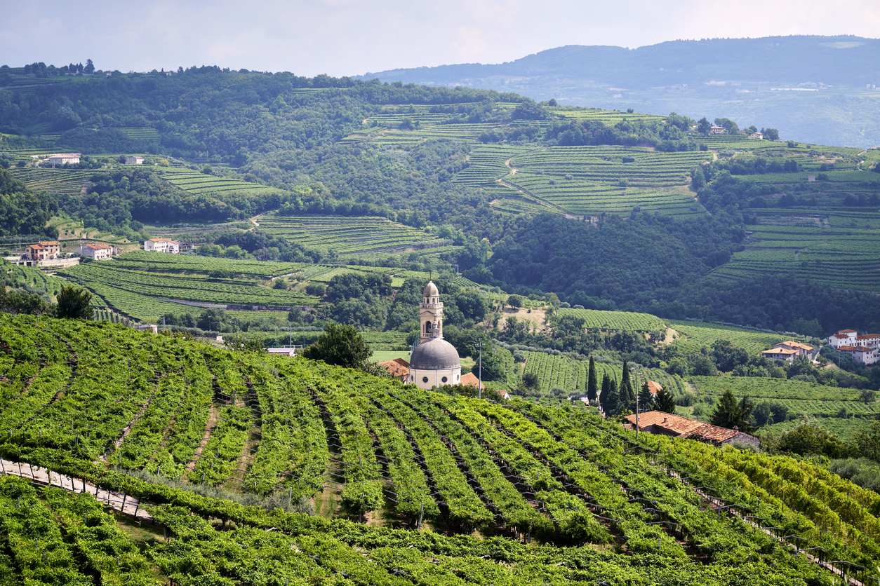 Valpolicella Background